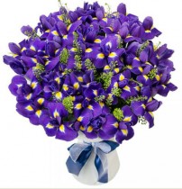 Irises bouquet - 51